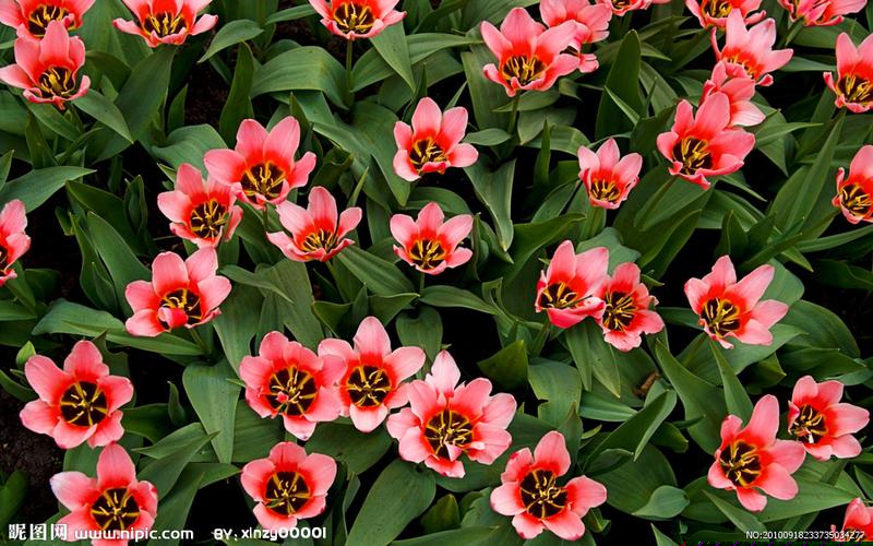 身在職場(chǎng)